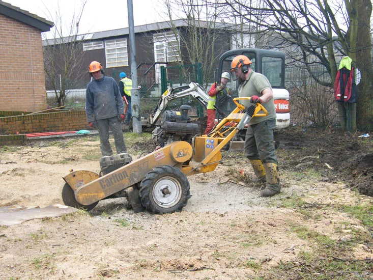 How to Remove Tree Stumps Using Natural Methods